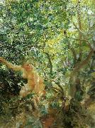 Anders Zorn skramd France oil painting artist